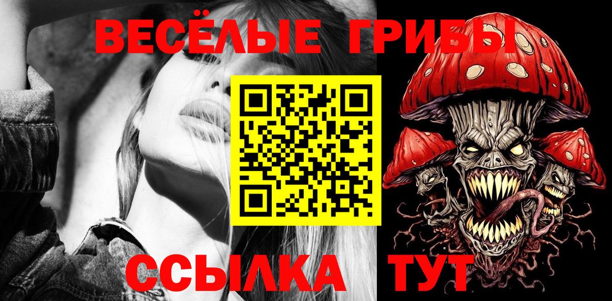 Псилоцибиновые грибы GOLDEN TEACHER Тосно