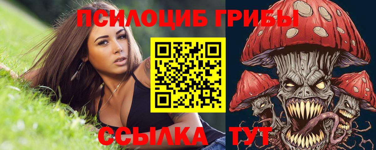 Галлюциногенные грибы прущие грибы  Псилоцибиновые грибы Magic Shrooms  Вход с VPN  Тосно 